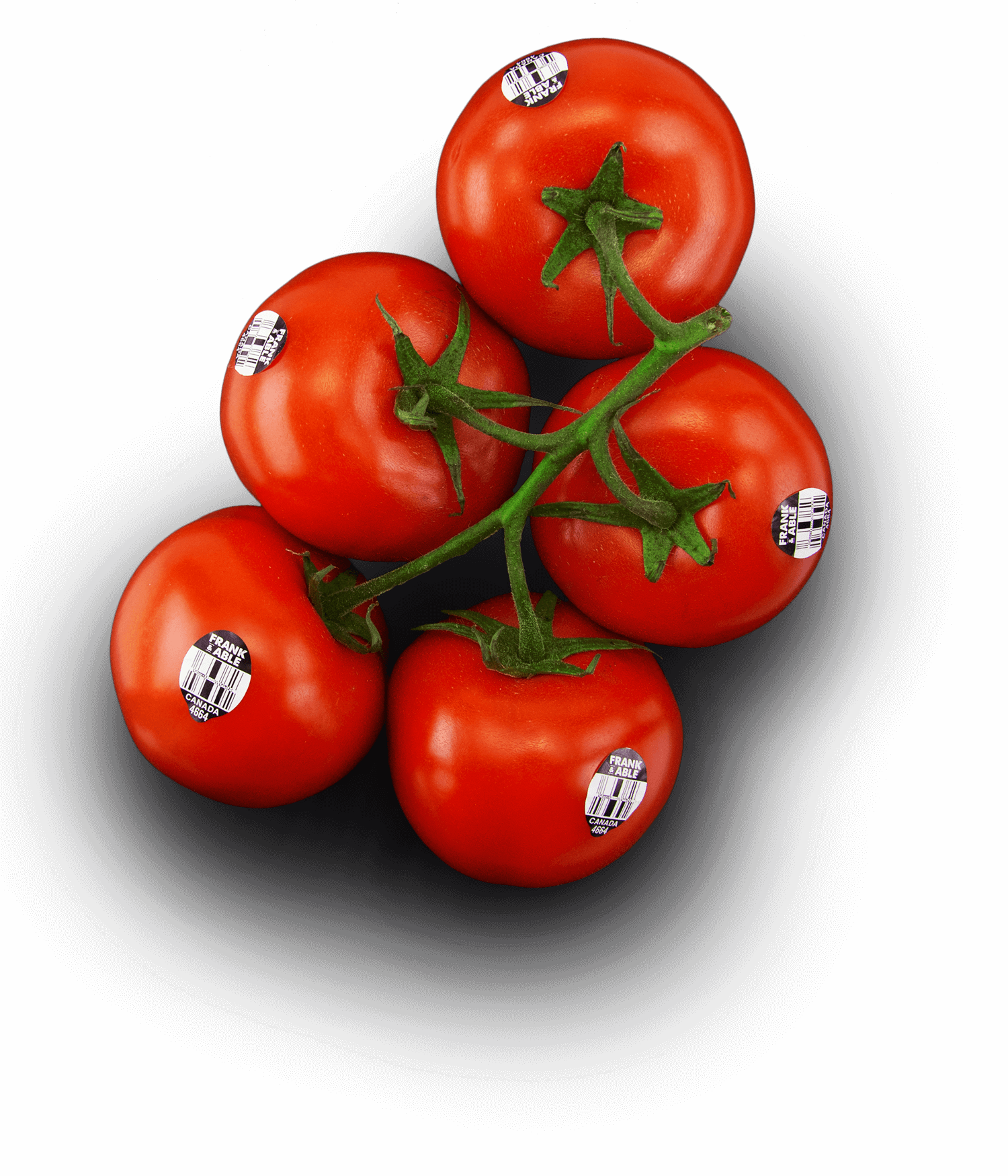 Frank & Able Tomatoes